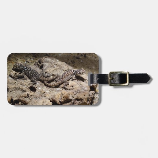 Sceloporus cyanogenes gepäckanhänger (Vorderseite horizontal)