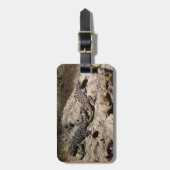 Sceloporus cyanogenes gepäckanhänger (Vorderseite vertikal)