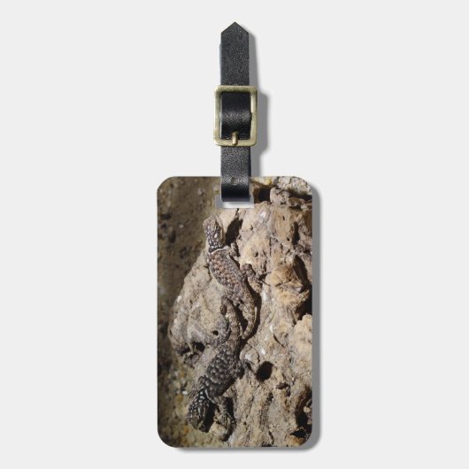 Sceloporus cyanogenes gepäckanhänger (Vorderseite vertikal)