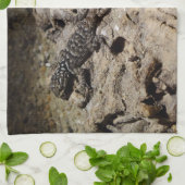 Sceloporus cyanogenes handtuch (Gefaltet)