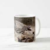 Sceloporus cyanogenes kaffeetasse (VorderseiteRechts)