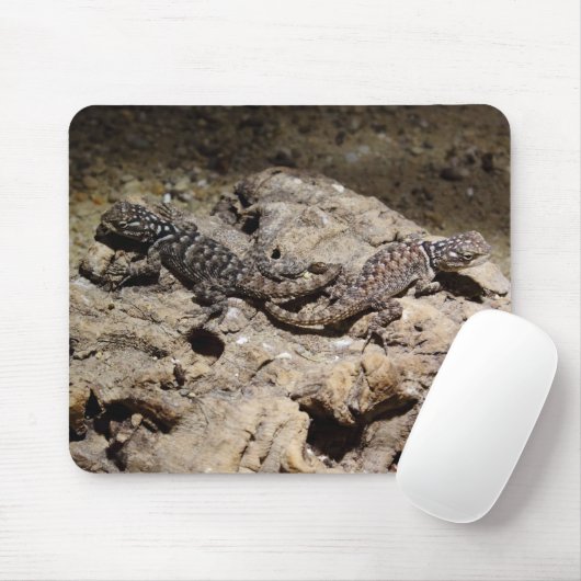 Sceloporus cyanogenes mousepad (Mit Mouse)