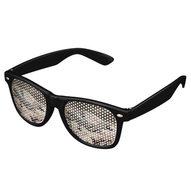 Sceloporus cyanogenes partybrille (Schrägansicht)