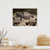 Sceloporus cyanogenes poster (Küche)