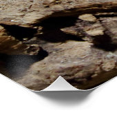 Sceloporus cyanogenes poster (Ecke)