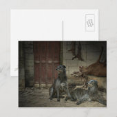 Scène de chasse: le butin (Teil. 3) Postkarte (Vorne/Hinten)