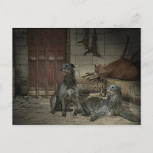 Scène de chasse: le butin (Teil. 3) Postkarte