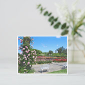 Scenery of Rose Garden ポストカード Postkarte (Stehend Vorderseite)