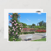 Scenery of Rose Garden ポストカード Postkarte (Vorne/Hinten)