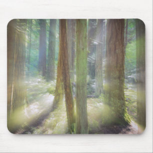 Scenic Beach State Park Mousepad