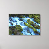 Scenic Forest Waterfall Landscape Leinwanddruck (Vorderseite)