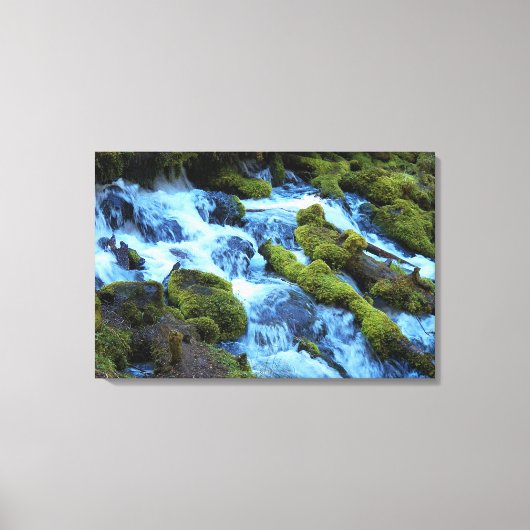 Scenic Forest Waterfall Landscape Leinwanddruck (Vorderseite)