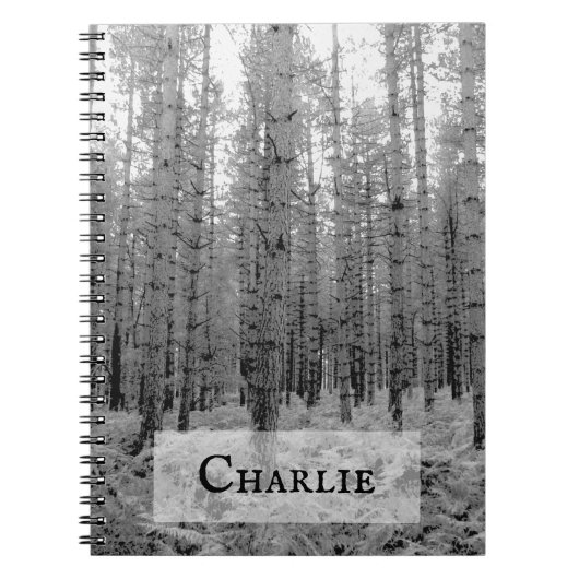 Scenic New Forest Black and White Woodland Scene Notizblock (Vorderseite)