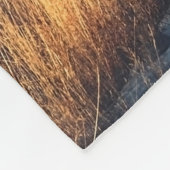 Scenic view in Mt. John summit view point,  Lake T Fleecedecke (Ecke)