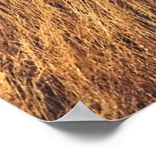 Scenic view in Mt. John summit view point,  Lake T Poster (Ecke)