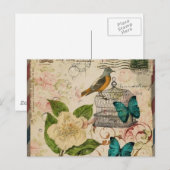 schabby elegance botanischer Vogel französische Pr Postkarte (Vorne/Hinten)