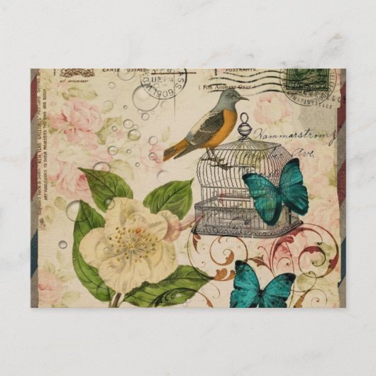 schabby elegance botanischer Vogel französische Pr Postkarte (Vorderseite)