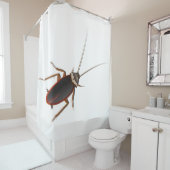 Schabe Duschvorhang (Beispiel)