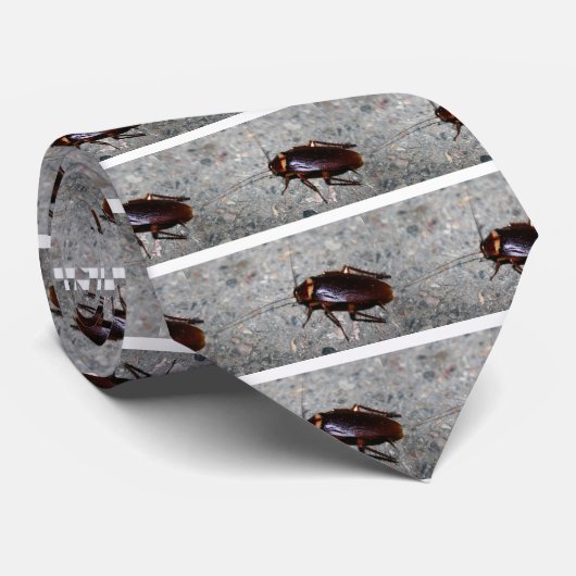 Schabe! Krawatte (Gerollt)
