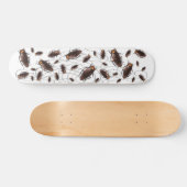 Schabe Skateboard (Horizontal)