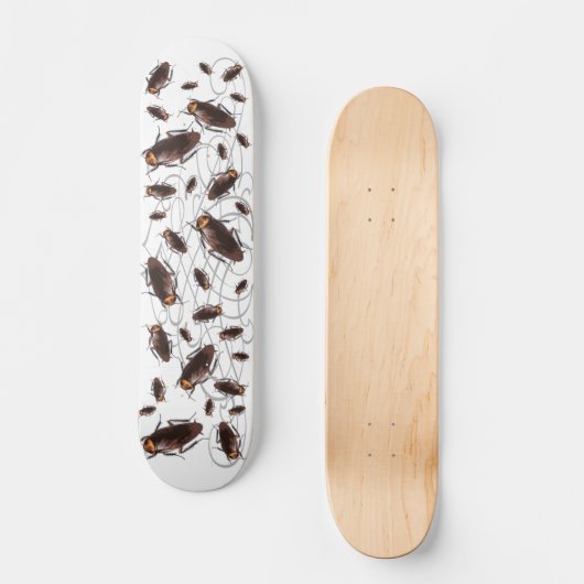 Schabe Skateboard (Vorderseite)