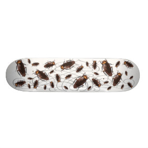 Schabe Skateboard