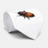 Schaben-Krawatte Krawatte (Gerollt)