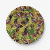 Schaben Pappteller (Vorderseite)