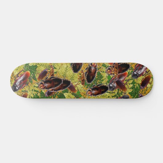 Schaben Skateboard (Horizontal)