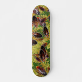 Schaben Skateboard (Vorne)