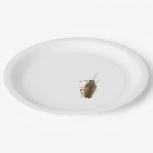 Schabenstreichplatte Pappteller (Schrägansicht)