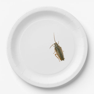 Schabenstreichplatte Pappteller