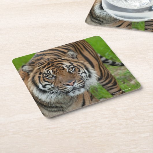 Schablone Rechteckiger Pappuntersetzer (angewinkelt)