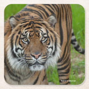 Schablone Rechteckiger Pappuntersetzer