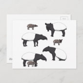 Schabrackentapir Auswahl Postkarte (Vorne/Hinten)