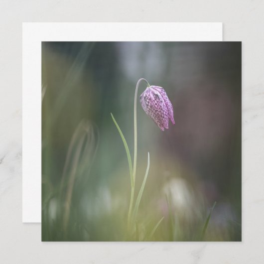 Schach-Blume (Vorne/Hinten)