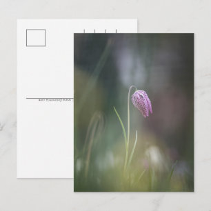 Schach-Blume Natur-Foto Feiertagspostkarte