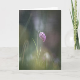 Schach-Blume Natur-Foto Karte