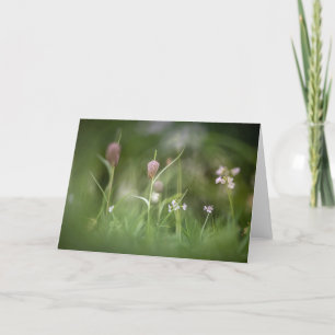 Schach-Blume Natur-Foto Karte