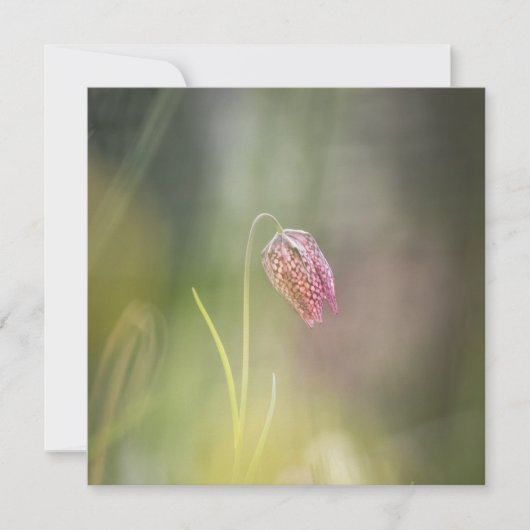 Schach-Blume-Natur-Fotokarte (Vorderseite)