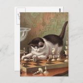 Schach-Cat-Postkarte Postkarte (Vorne/Hinten)
