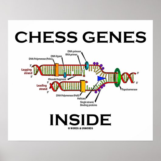 Schach-Gene im Inneren (DNA-Replikation) Poster (Vorne)