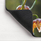 Schachbrett Lily Dew Drops Blume Foto © Sandy Long Mousepad (Ecke)