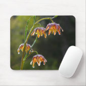 Schachbrett Lily Dew Drops Blume Foto © Sandy Long Mousepad (Mit Mouse)