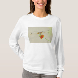 Schachbrett-Setwing (Dythemis fugax) auf mexikanis T-Shirt