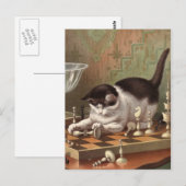Schachkatze Postkarte (Vorne/Hinten)