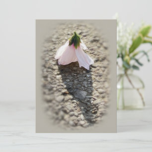 Schachpflaster-Blume Einladung