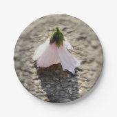Schachpflaster-Blume Pappteller (Vorderseite)