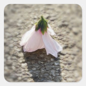 Schachpflaster-Blume Quadratischer Aufkleber (Vorderseite)