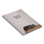 Schachtel für graue Tabby Katzen Notizblock (Rechte Seite)